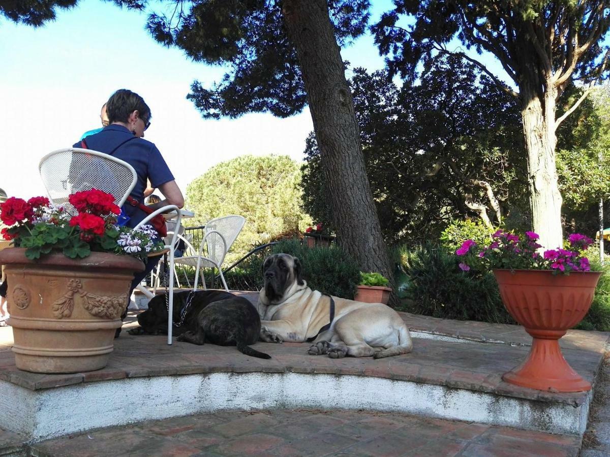 Dolce Vita Campiglia Marittima Extérieur photo