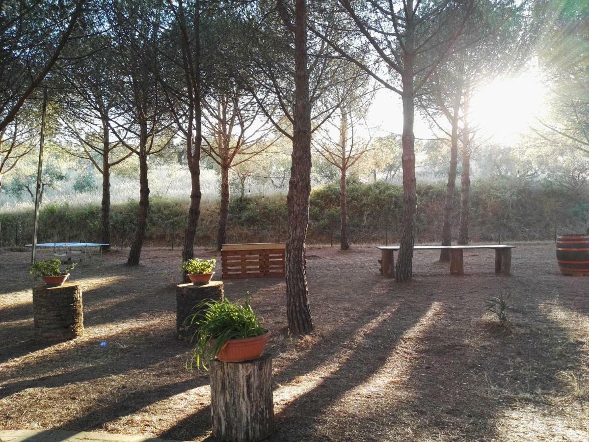 Dolce Vita Campiglia Marittima Extérieur photo